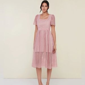 Rachel Parcell Lace Midi Dress with Ruffle, Silver Pink size 18